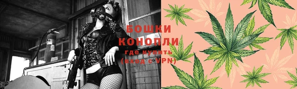 винт Ладушкин