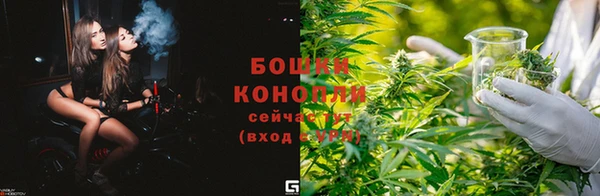 молекула духа Лиски