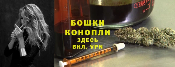 молекула духа Лиски