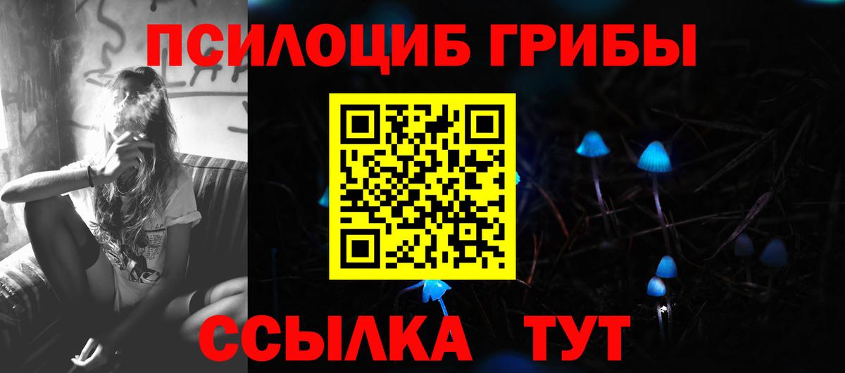 Миллерово  Псилоцибиновые грибы Magic Shrooms  Псилоцибиновые грибы Psilocybine cubensis  Вход с VPN 