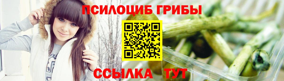 Псилоцибиновые грибы прущие грибы Миллерово